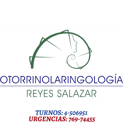 logo reyes salazar